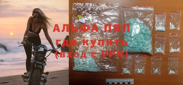 СК Белокуриха