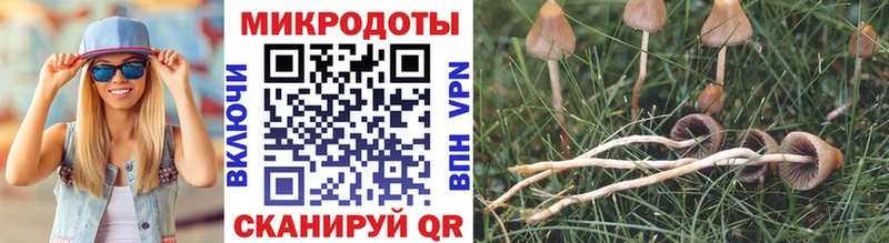 Галлюциногенные грибы мицелий  Сегежа 