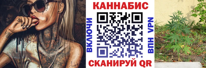 купить наркоту  Сегежа  блэк спрут рабочий сайт  Канабис Amnesia 
